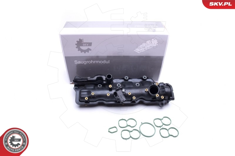 Intake Manifold Module